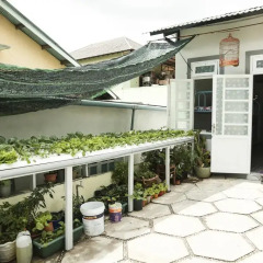 Отель Pensee Guesthouse 3* Кровать в общем номере фото 4