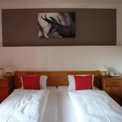 Hotel Gamshof 3* Стандартный номер с двуспальной кроватью фото 6