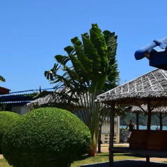 Отель Moon House Bungalows Таиланд, Пхукет - отзывы, цены и фото номеров - забронировать отель Moon House Bungalows онлайн фото 2