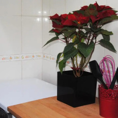 Апартаменты Bairro Alto Flavour Apartment в номере