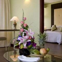 ParkView Hotel 4* Номер Делюкс с различными типами кроватей фото 10