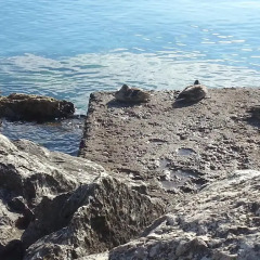 Отель B&B Desenzano пляж