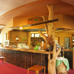 Arden Hotel Aso Минамиогуни гостиничный бар