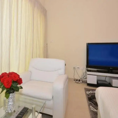 Апартаменты One Perfect Stay Studio Burj Al Nujoom удобства в номере