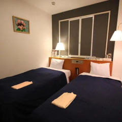 Hotel New Gaea Hakataeki-minami (ex. Hotel Smart Inn Hakata Ekimae) 3* Стандартный номер фото 2