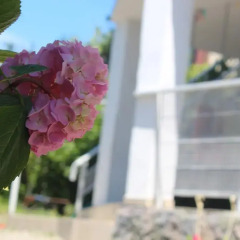Гостиница Rodnoe mesto Tuapse фото 3
