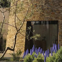 Отель MUSE Saint Tropez Раматюэль детские мероприятия
