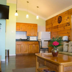 Отель The Westender Inn 3* Люкс с различными типами кроватей фото 16