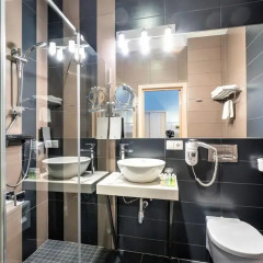 Wellton Centrum Hotel & Spa 4* Стандартный номер с различными типами кроватей фото 6