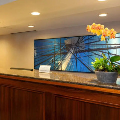 Отель Wyndham Boston Beacon Hill интерьер отеля фото 2