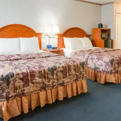 Отель Nob Hill Motor Inn 2* Стандартный номер с различными типами кроватей
