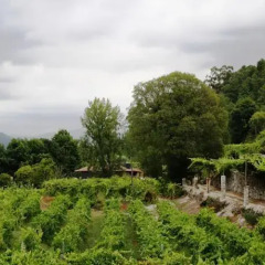 Отель Quinta Da Pousadela Амаранте фото 6