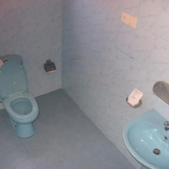 Отель Seagreen Guesthouse ванная