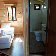 Отель Cirali Flora Pension 3* Улучшенный номер с различными типами кроватей