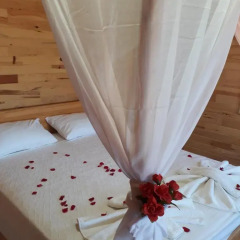 Отель Cirali Flora Pension 3* Стандартный семейный номер с двуспальной кроватью фото 20