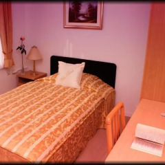 Hotel Vila Tina 3* Стандартный номер с различными типами кроватей фото 8