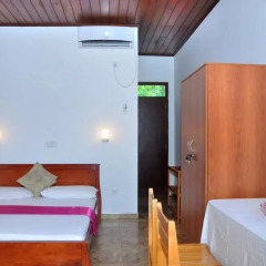 Green Shadows Beach Hotel комната для гостей