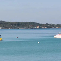 Отель White Sands Negril Ямайка, Саванна-Ла-Мар - отзывы, цены и фото номеров - забронировать отель White Sands Negril онлайн приотельная территория