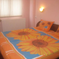 Aseva House Family Hotel комната для гостей фото 4