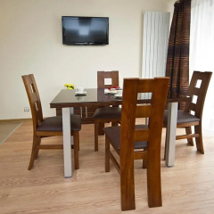 Отель Apartamenty Viva Tatry Польша, Закопане - отзывы, цены и фото номеров - забронировать отель Apartamenty Viva Tatry онлайн комната для гостей фото 2