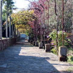Отель Casaldomar Вилагарсия-де-Ароза фото 12