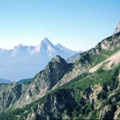 Отель Gasthof Schorn Ziegler Kg 3* Стандартный номер фото 7