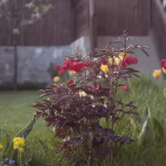 Отель Guest House Grandpa’s Mitten Болгария, Копривштица - отзывы, цены и фото номеров - забронировать отель Guest House Grandpa’s Mitten онлайн фото 7
