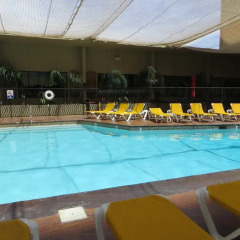 Отель Jockey Resort Suites Center Strip США, Лас-Вегас - 1 отзыв об отеле, цены и фото номеров - забронировать отель Jockey Resort Suites Center Strip онлайн бассейн фото 3