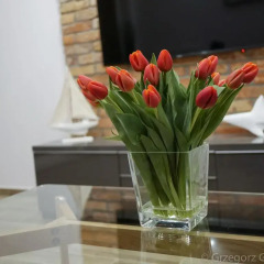 Апартаменты Exclusive Apartments Gdańsk интерьер отеля