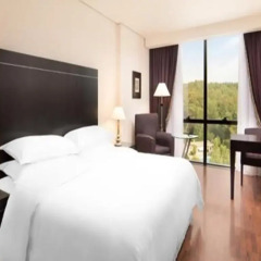 Отель Sheraton Tirana 5* Номер Делюкс