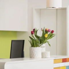 Creatif Hotel Elephant удобства в номере фото 2
