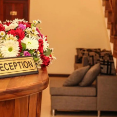 Отель Vin Roma Homestay интерьер отеля фото 2