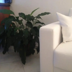 Отель B&B Via Roma suite Ортона удобства в номере