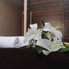 Green Hotel Budapest 4* Стандартный номер с различными типами кроватей фото 4