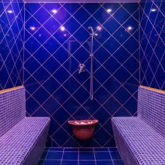 Отель Mare Blu Италия, Пинето - отзывы, цены и фото номеров - забронировать отель Mare Blu онлайн сауна