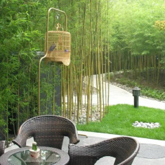 Отель Beijing Asia Hotel Китай, Пекин - отзывы, цены и фото номеров - забронировать отель Beijing Asia Hotel онлайн фото 3
