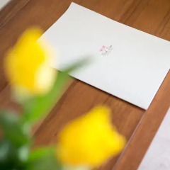 Bich Dao Boutique Hotel 2* Стандартный номер фото 5