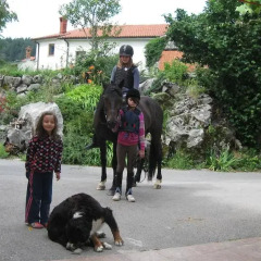 Отель Tourist Farm Dujceva Domacija спортивное сооружение