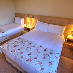 The Lucan Spa Hotel 3* Стандартный номер с разными типами кроватей фото 16