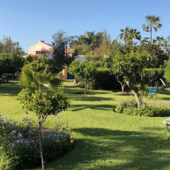 Отель La Villa Mandarine Марокко, Рабат - отзывы, цены и фото номеров - забронировать отель La Villa Mandarine онлайн детские мероприятия фото 2
