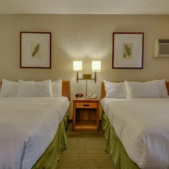 Отель Vagabond Inn Los Angeles at USC 2* Стандартный номер с различными типами кроватей фото 7