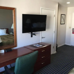 Отель Buena Vista Motor Inn удобства в номере