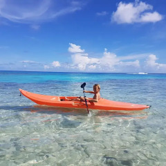 Отель Pension Rangiroa Plage