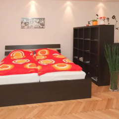 Отель Down Town Vienna Апартаменты с различными типами кроватей фото 18