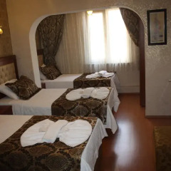 Big Apple Hostel & Hotel Номер Делюкс с различными типами кроватей фото 8