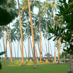 Отель Reef Villa and Spa Шри-Ланка, Ваддува - отзывы, цены и фото номеров - забронировать отель Reef Villa and Spa онлайн детские мероприятия фото 2