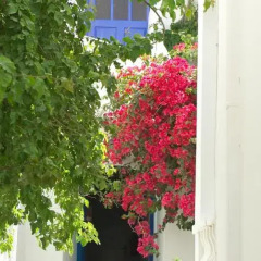 Отель Villa Kamari Star Греция, Остров Санторини - отзывы, цены и фото номеров - забронировать отель Villa Kamari Star онлайн фото 6