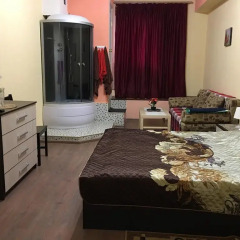 Mini-Hotel Silver комната для гостей фото 4
