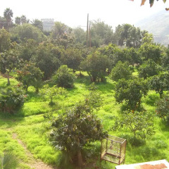Отель Finca Tomás y Puri фото 8