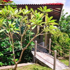 Отель Mass Eco Cabana 3* Стандартный номер с различными типами кроватей